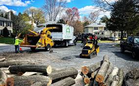 Best Emergency Tree Removal  in Huntland, TN